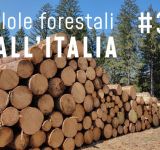 Pillole forestali dall’Italia #35 - Certificazioni, regolamenti, statistiche e altre notizie di marzo