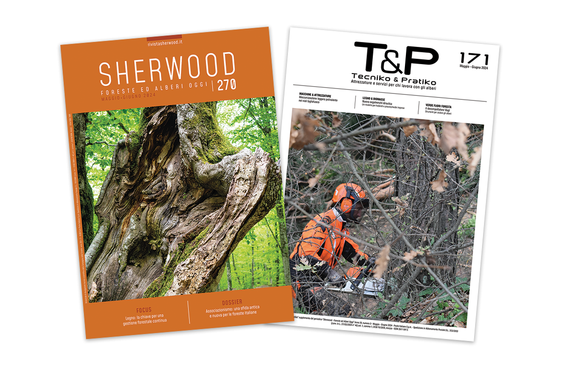 Sherwood 270: mercato del legno e associazionismo per la gestione dei boschi