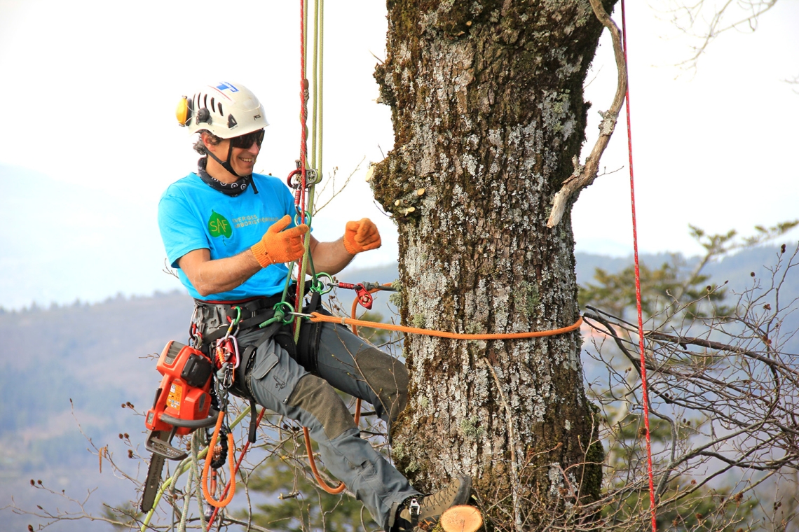 European Tree Worker - Cosa è e come si sostiene l’esame