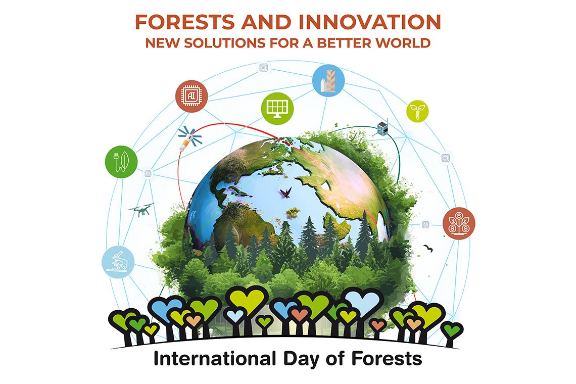Giornata internazionale delle foreste 2024: la FAO ci invita a riflettere sull'innovazione in campo forestale