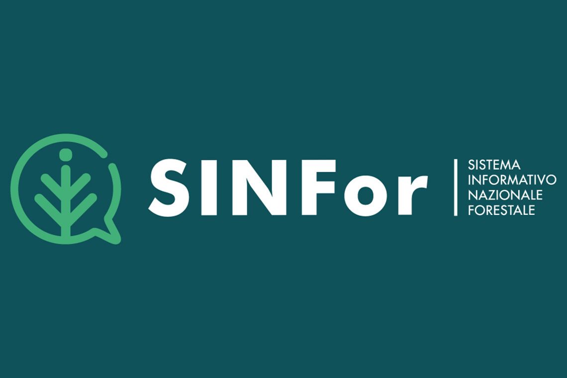 SINFor: il primo Sistema Informativo Nazionale Forestale