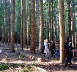 La professione forestale nell’era della closer to nature selvicolture, un seminario ad UNIFI
