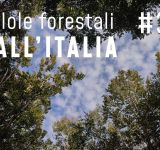 Pillole forestali dall’Italia #37 - Conservazione, selvicoltura, sicurezza e altre notizie di maggio