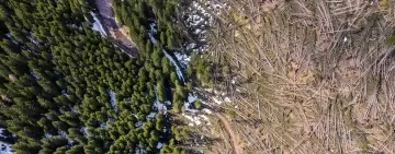 Tempesta Vaia: una brochure divulgativa on-line