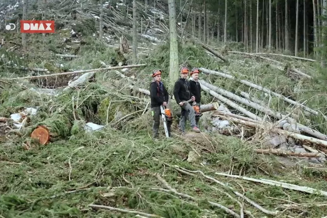 Dopo Vaia: boscaioli trentini su Dmax 