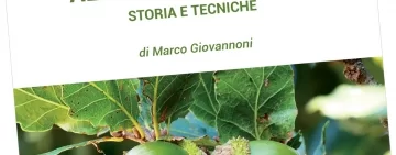 Ghiande e uso alimentare umano: storia e tecniche