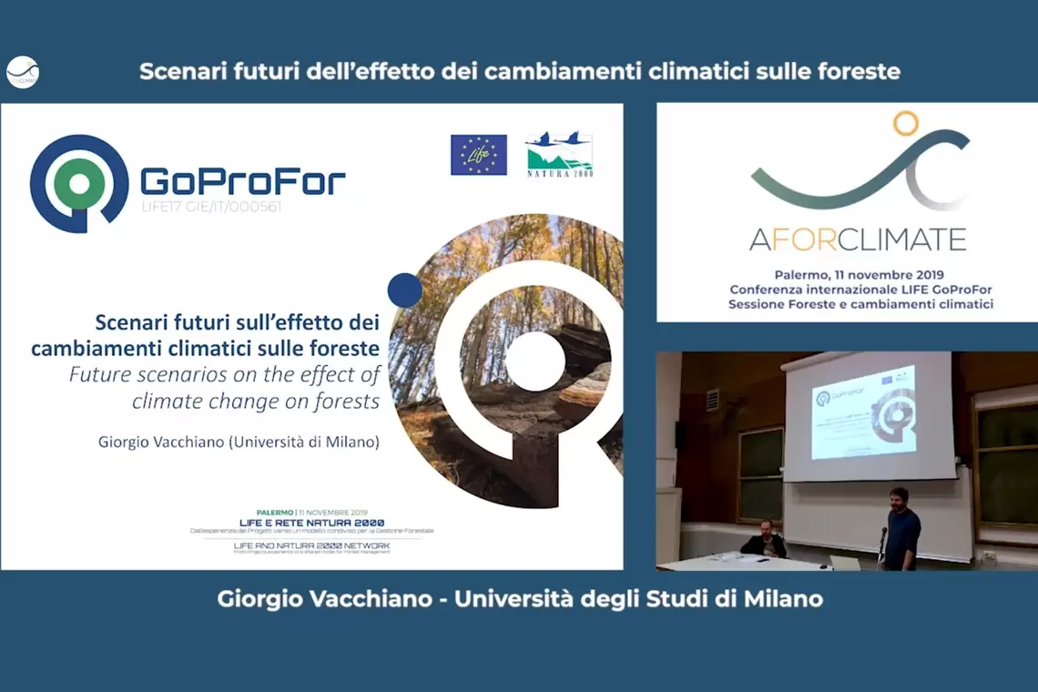 Buone pratiche per l’adattamento delle foreste al cambiamento climatico