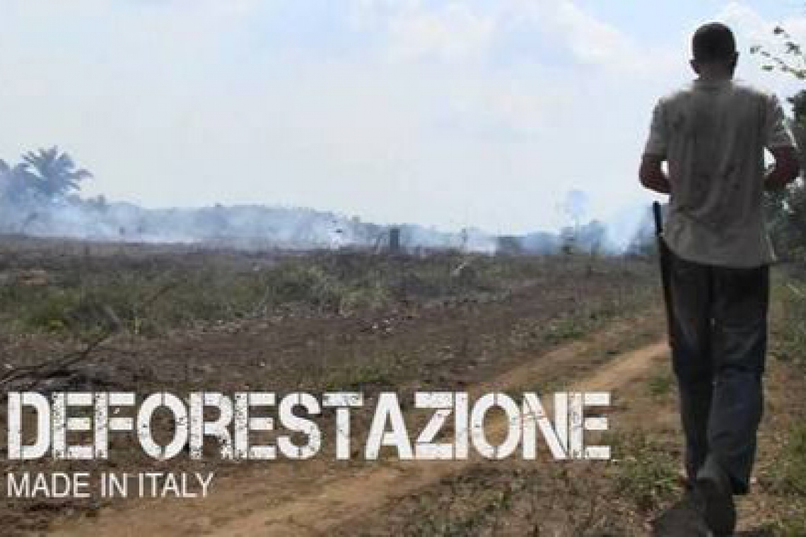 Documentario sulla deforestazione