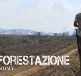 Documentario sulla deforestazione