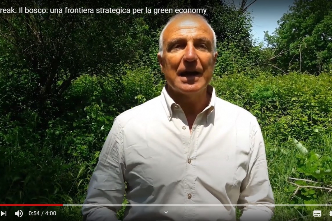 Video: “Il bosco: una frontiera strategica per la green economy”