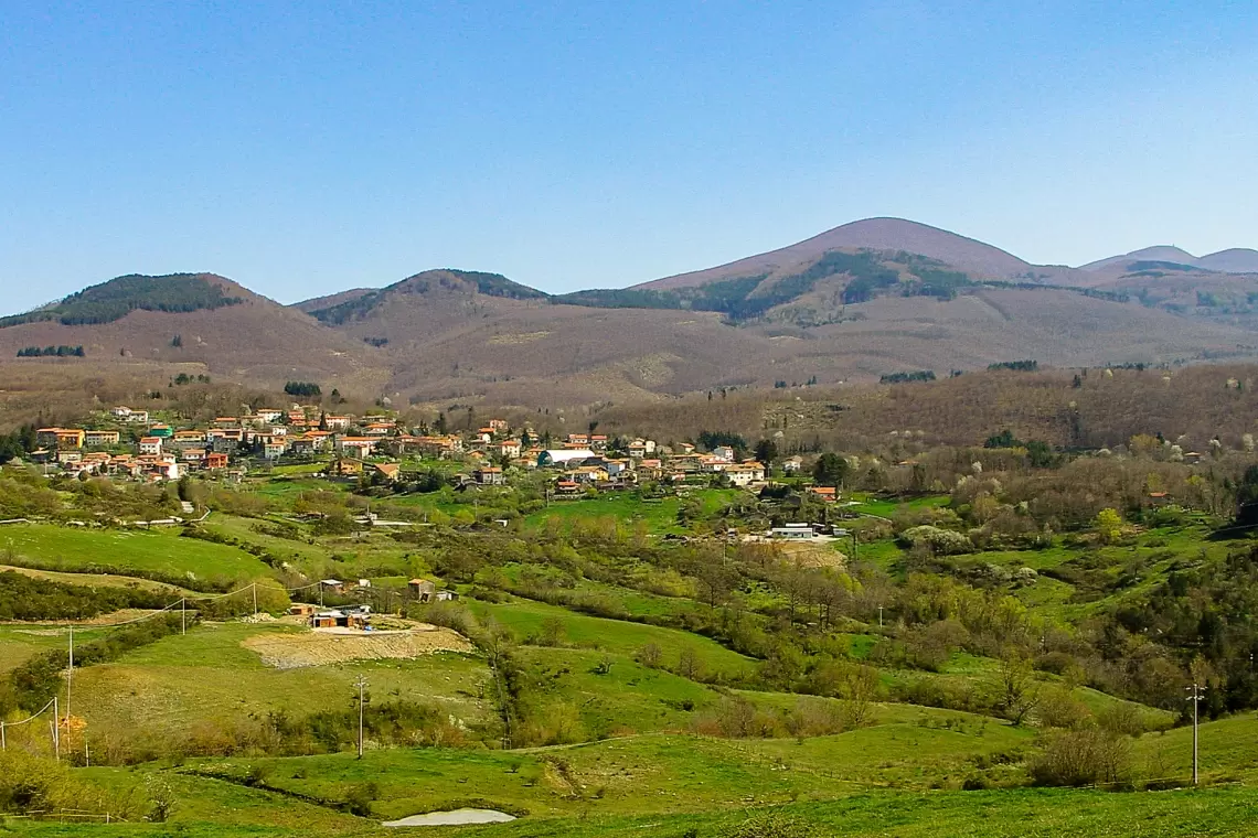 Blocco del ceduo in Amiata: 21 sigle del settore forestale contro il parere della Sovrintendenza