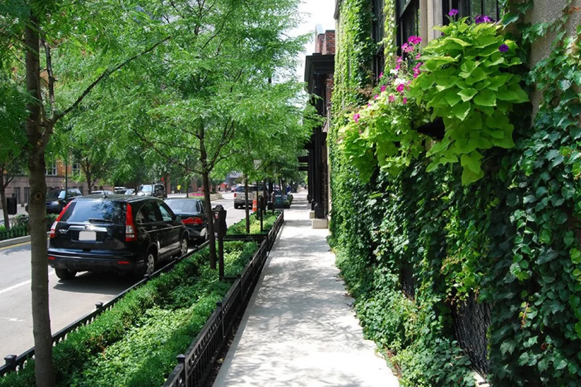 Approvato il decreto sulla forestazione urbana nelle città metropolitane