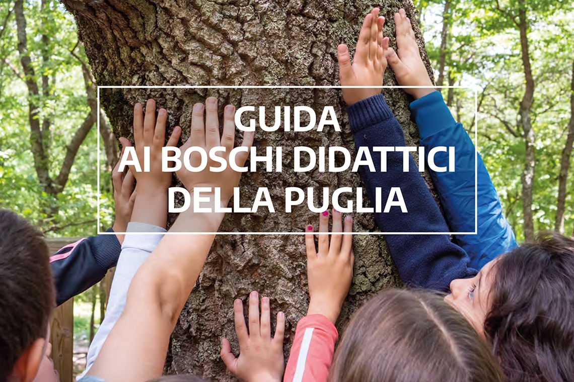 Guida ai Boschi Didattici della Puglia: online la pubblicazione e il webinar di presentazione 