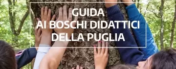 Guida ai Boschi Didattici della Puglia: online la pubblicazione e il webinar di presentazione 