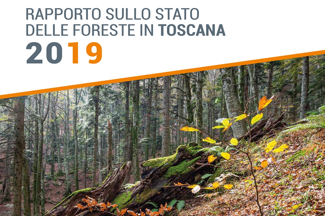 RaF Toscana: scaricabile il Rapporto e disponibile il webinar di presentazione