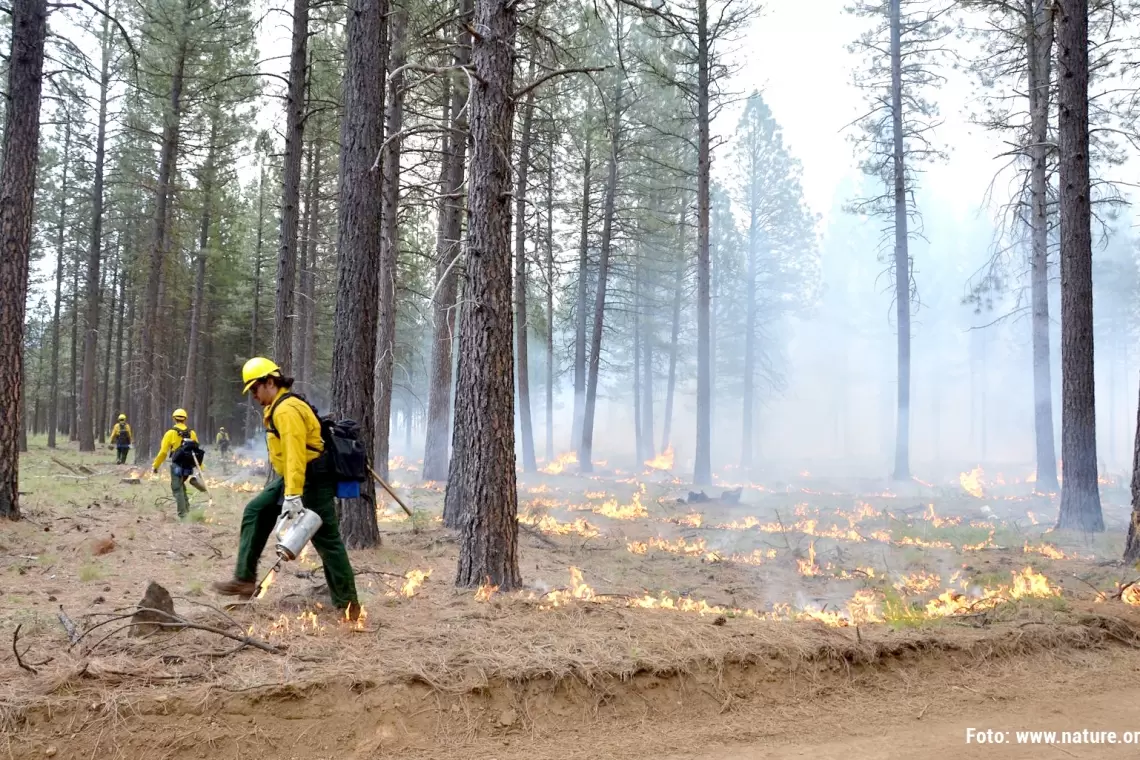 Il dossier di Sherwood sugli incendi su “Revista Incendios y Riesgos Naturales”