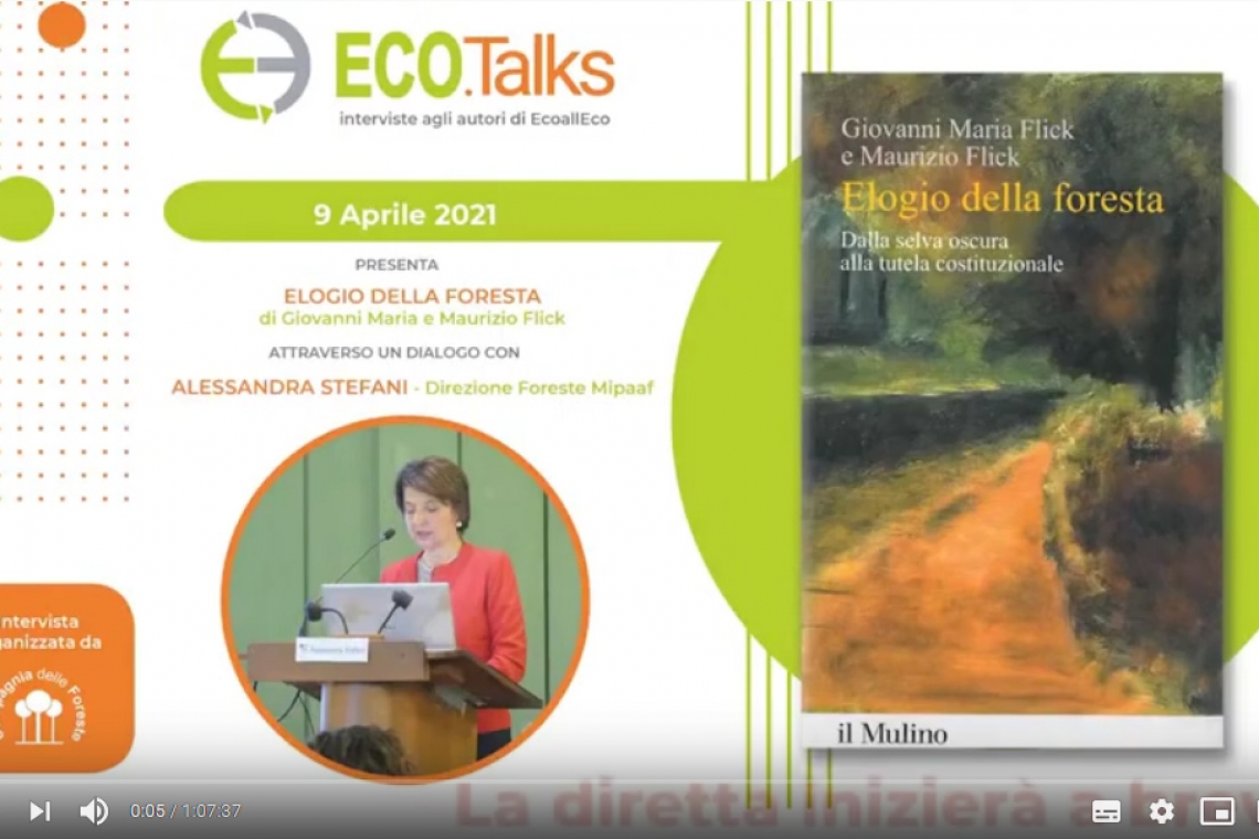Disponibile il video di Eco.Talks con Alessandra Stefani