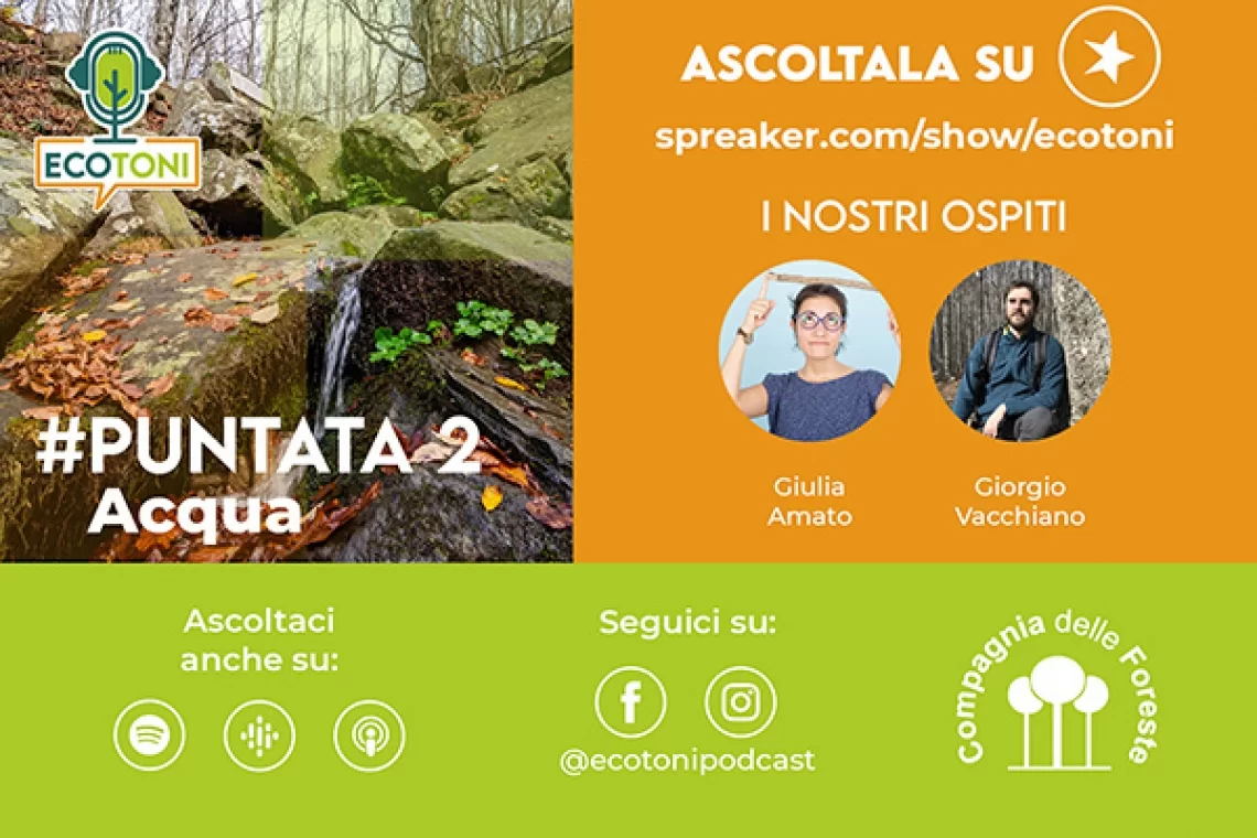 Foreste e acqua: avete già ascoltato la nuova puntata di Ecotoni?