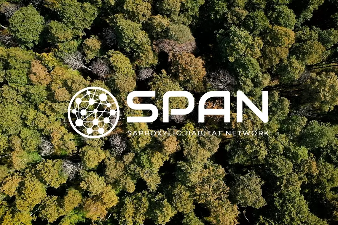 Al via il progetto LIFE SPAN: protagonisti gli organismi saproxilici