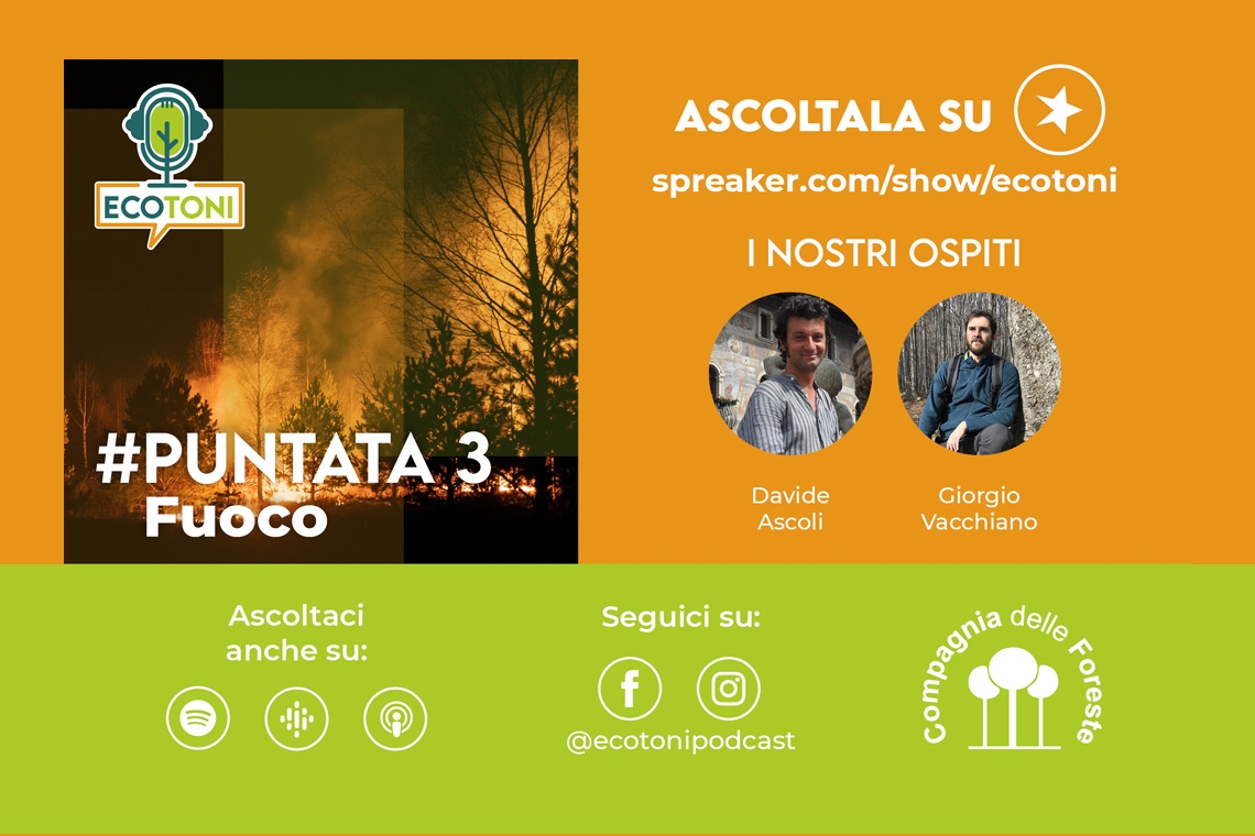 Foreste e fuoco: nuova puntata di Ecotoni!