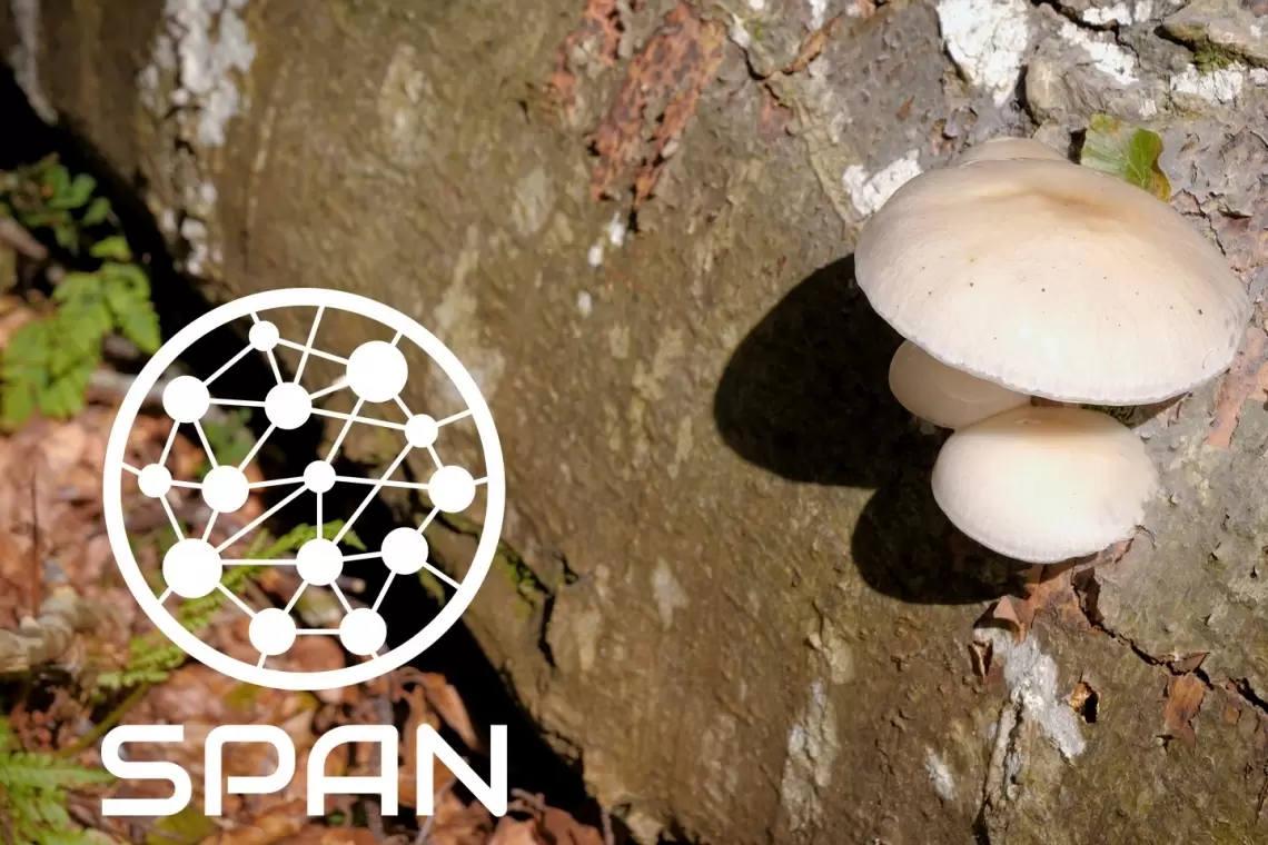 Online la registrazione della Conferenza Iniziale LIFE SPAN