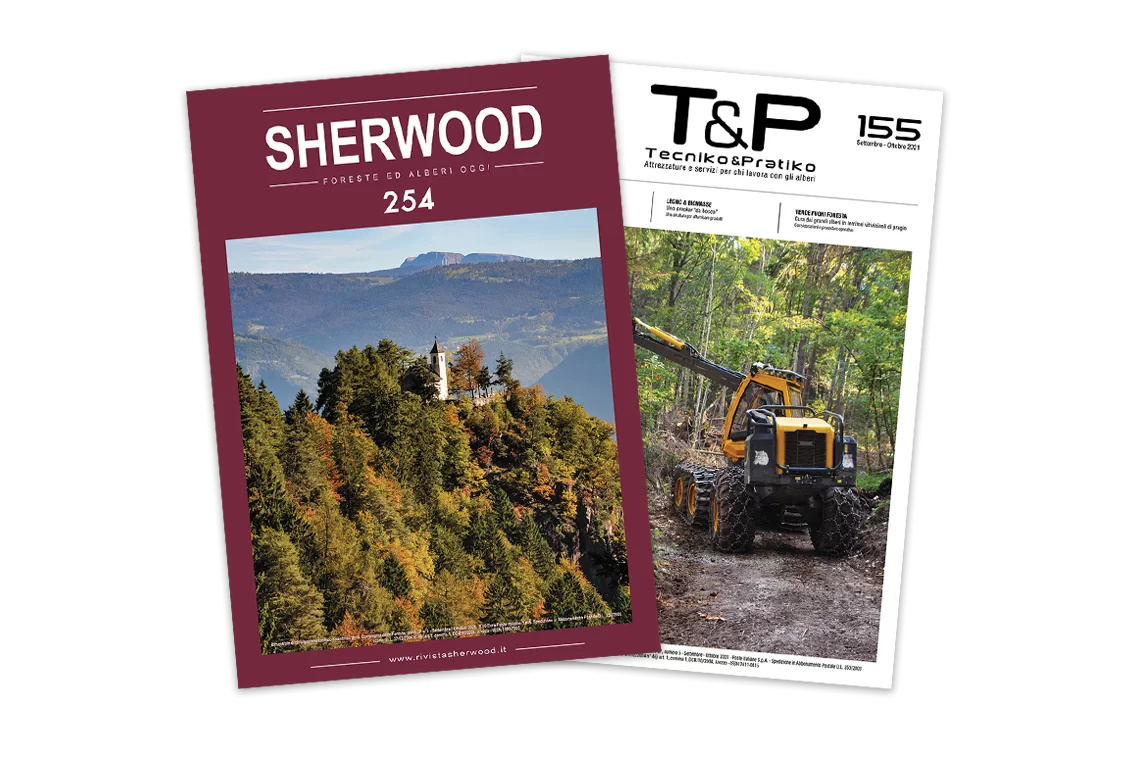 Sherwood 254 e Tecniko &amp; Pratiko 155