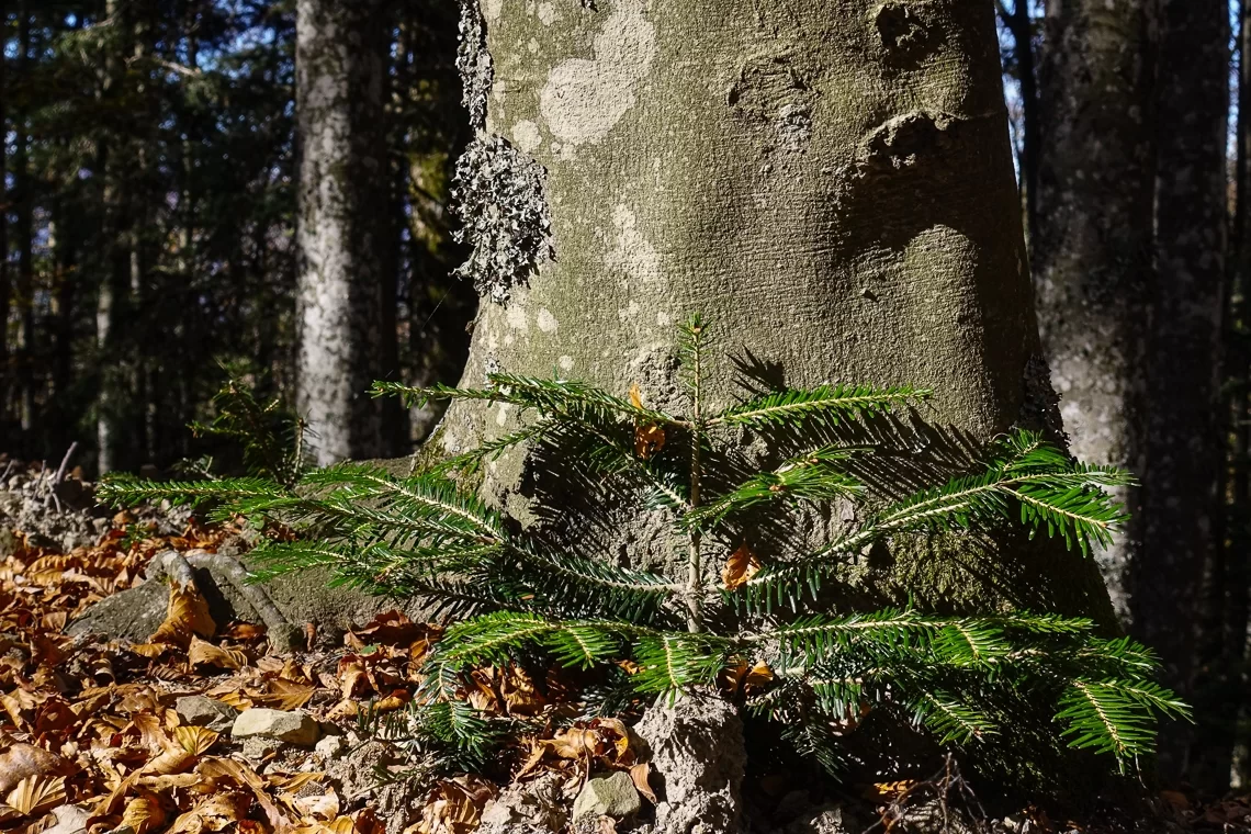 Siamo in conflitto con le future generazioni?