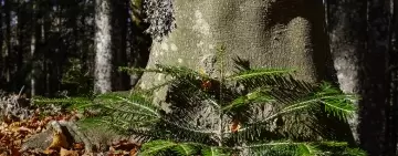 Siamo in conflitto con le future generazioni?