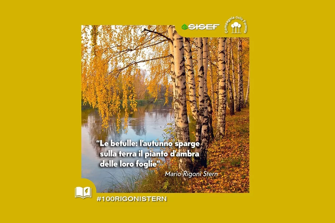 #100RIGONISTERN: Una citazione ogni settimana per ricordare Mario Rigoni Stern