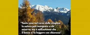 #100RIGONISTERN: Una citazione ogni settimana per ricordare Mario Rigoni Stern