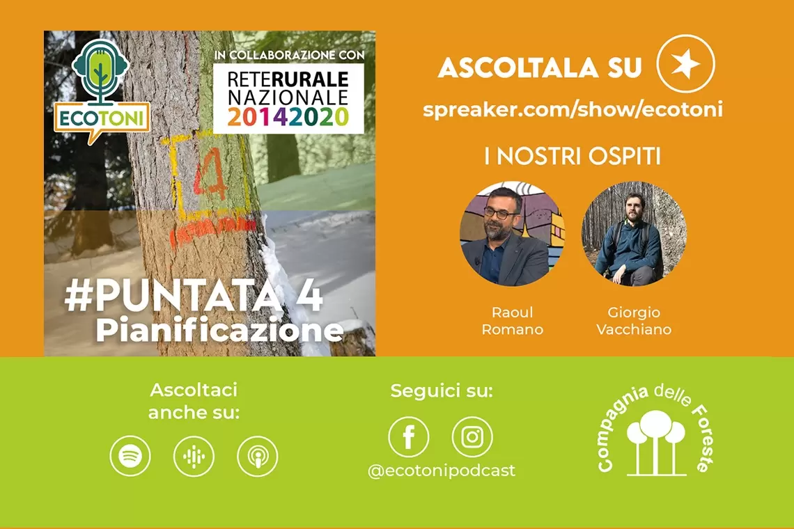 Ecotoni: nuova puntata sulla pianificazione forestale!