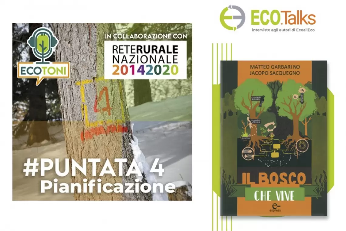 ECO…contenuti!