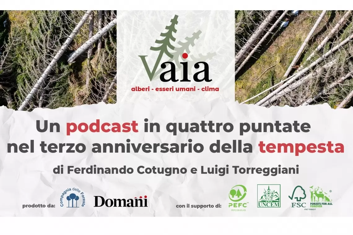 Vaia: un reportage vocale per riflettere sul futuro