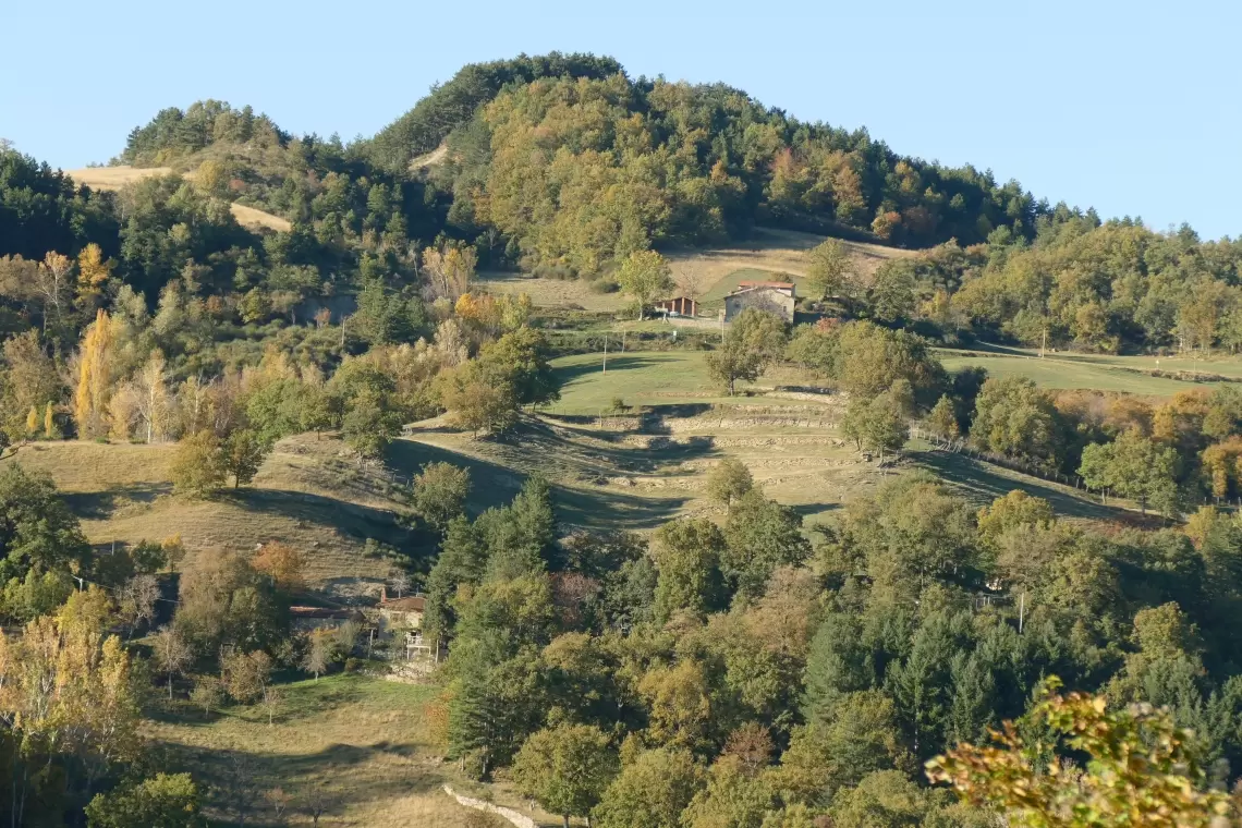 Mipaaf: graduatoria forme associative in ambito Silvo-Pastorale