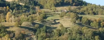 Mipaaf: graduatoria forme associative in ambito Silvo-Pastorale