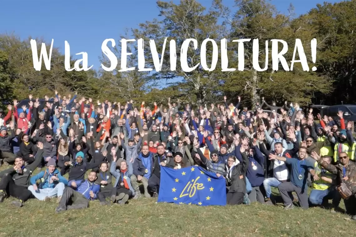 Olimpiadi di Selvicoltura 2021, online il video ufficiale!
