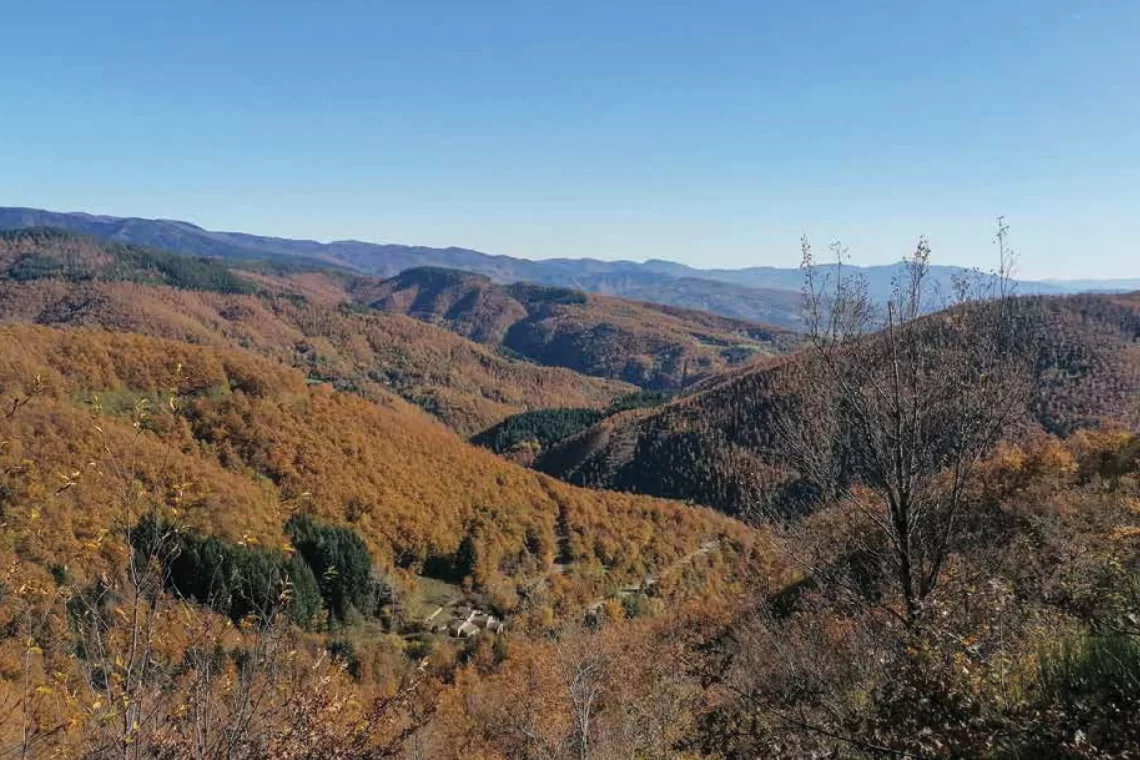 L’applicazione dell’Indice di Biodiversità Potenziale nei Piani di gestione