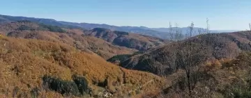 L’applicazione dell’Indice di Biodiversità Potenziale nei Piani di gestione