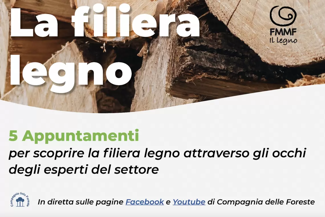Conosci bene la filiera del legno? Disponibili online i video dei 5 incontri