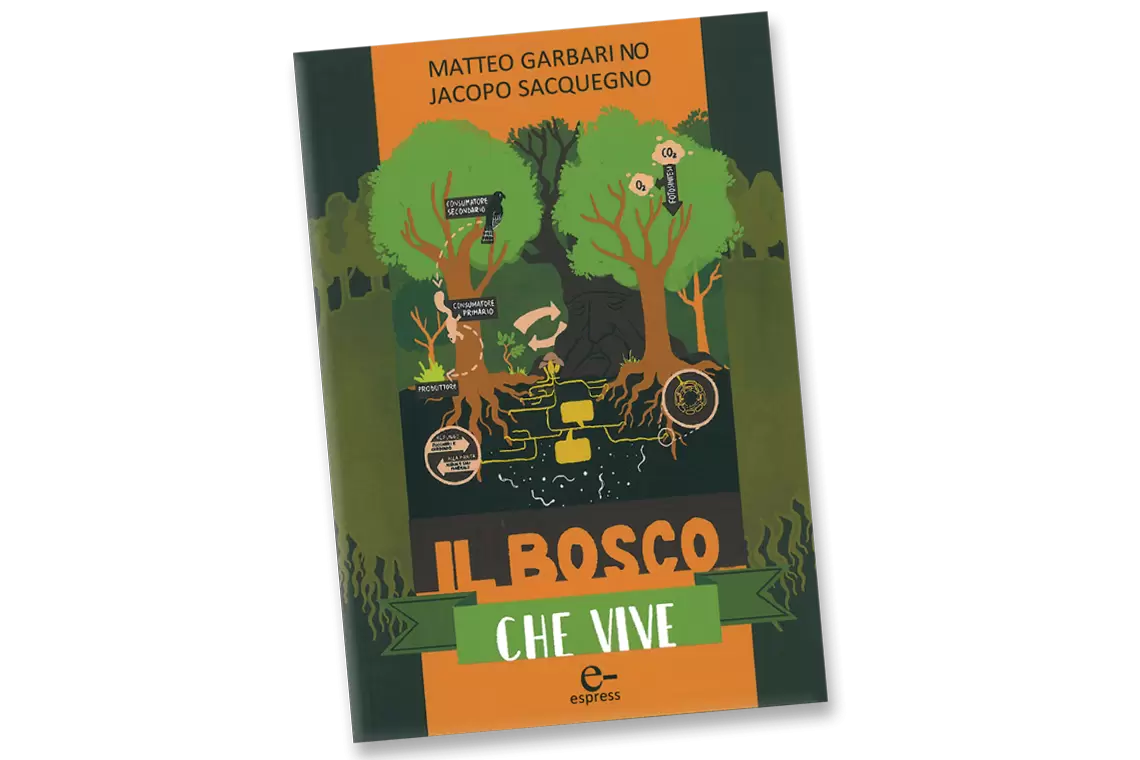 “Il bosco che vive”: ecologia forestale in visual thinking