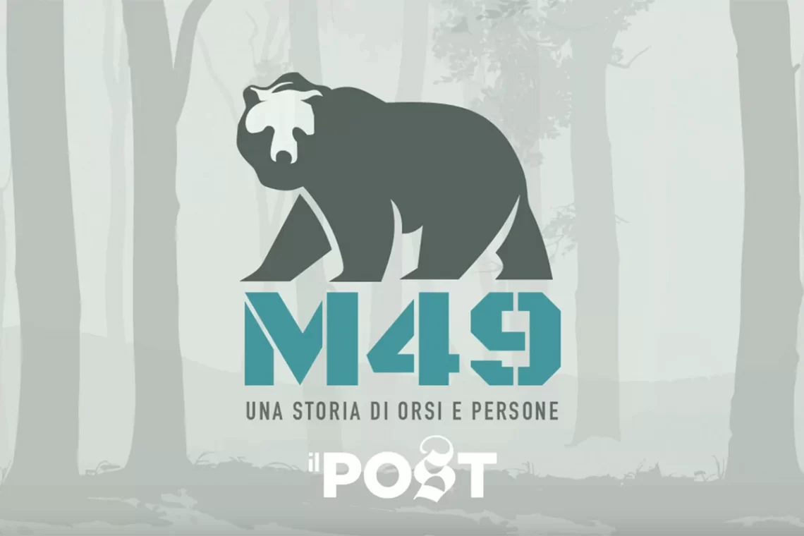 Un orso “problematico”