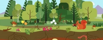 Suolo e Foreste: dieci video-pillole