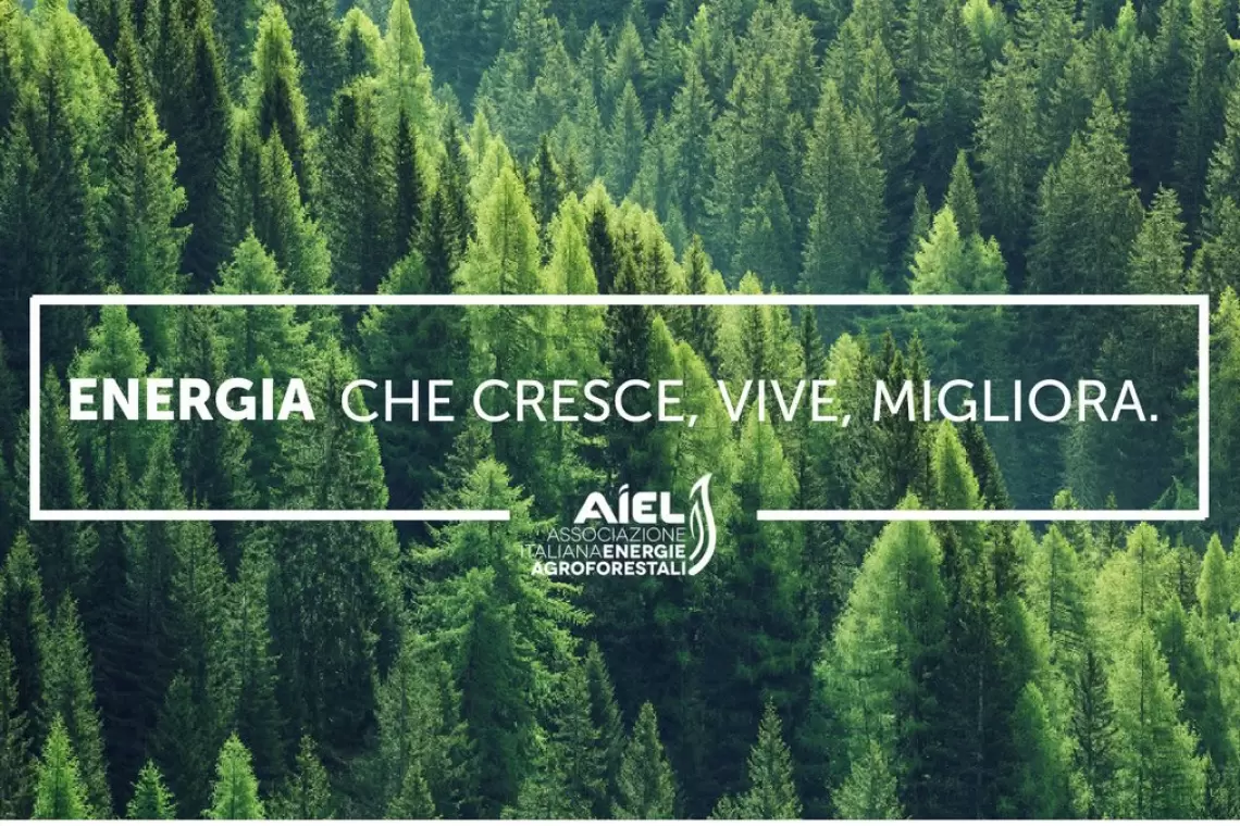 Energia dal legno: il podcast di AIEL