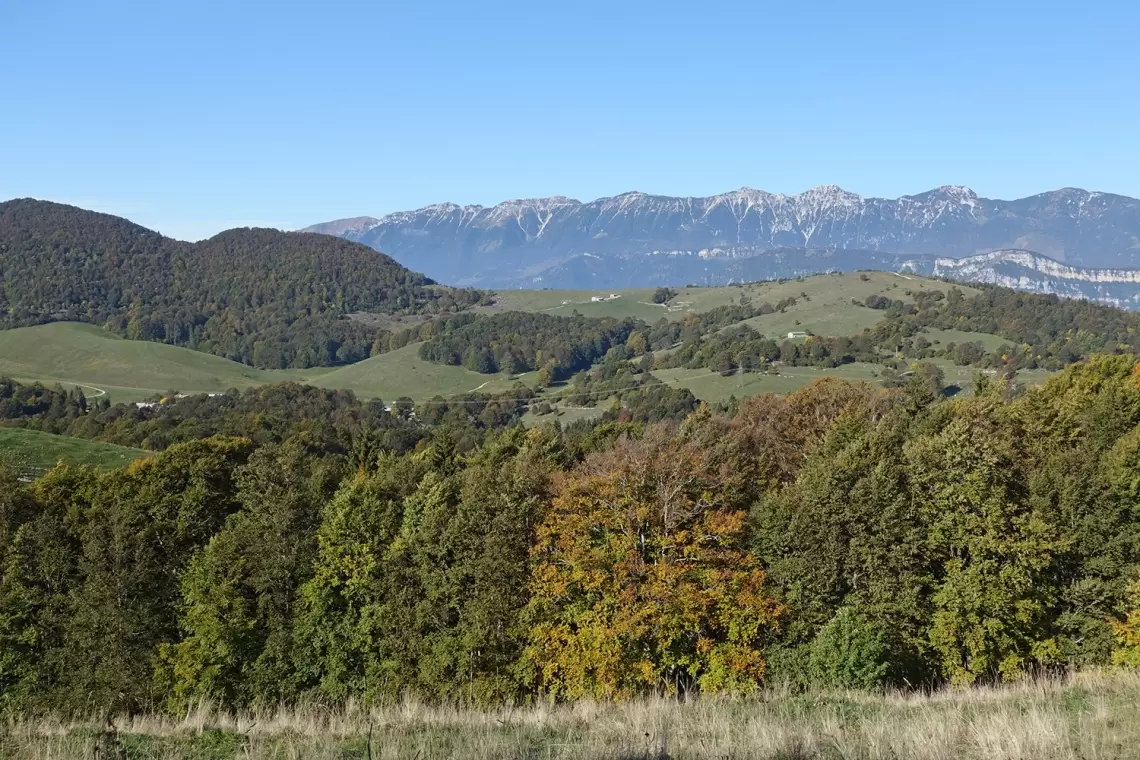 Pubblicata la prima Strategia Forestale Nazionale