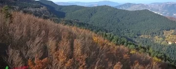 Dentro Oltreterra: un video-reportage dall’edizione 2021