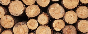 Vendita legname presso l’Unione di Comuni Montani dei Casentino