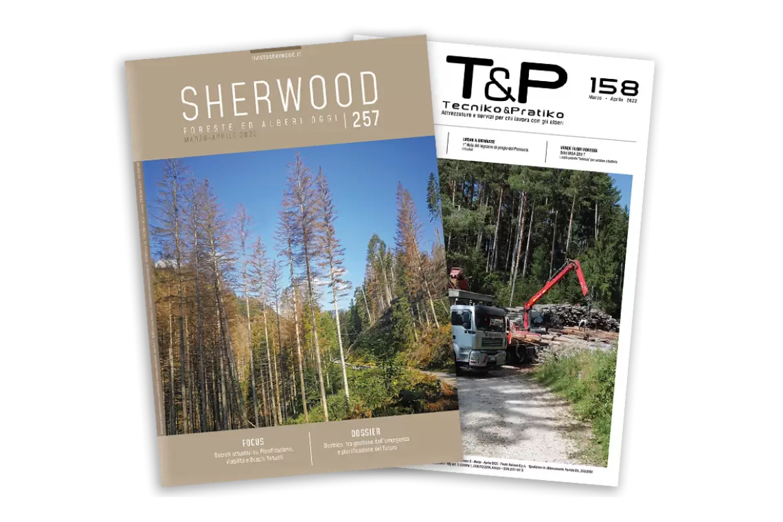 Emergenza bostrico, decreti attuativi del TUFF…è uscito il nuovo numero di Sherwood!