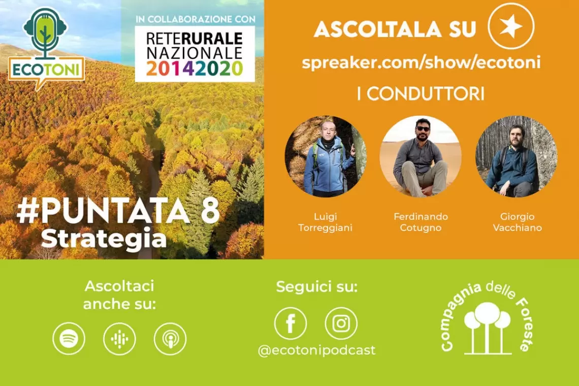 Ecotoni, una puntata dedicata alla Strategia Forestale Nazionale