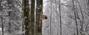 CCNET: Progetto pilota di monitoraggio continuo in boschi vetusti