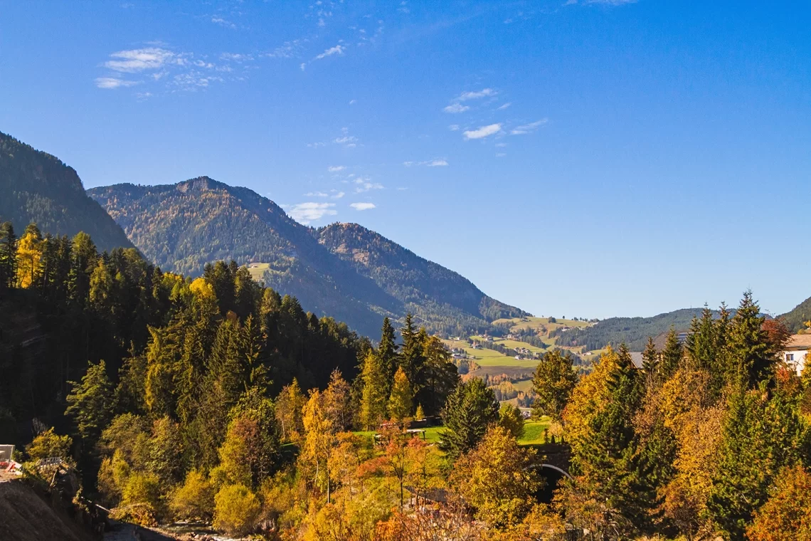 Introduzione alla disciplina dell’Accordo di Foresta